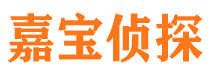 镜湖侦探公司